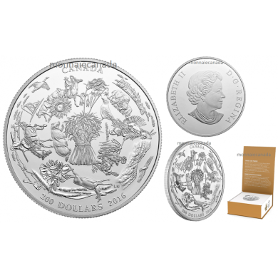 2016 - $200 for $200 - Fine Silver Coin – Canada's Vast Prairies