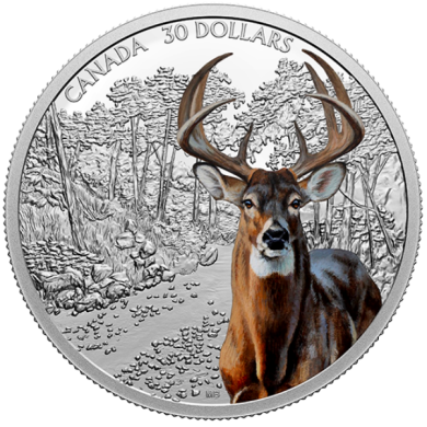 2021 - $30 - 2 oz. Pure Silver Coin - Imposing Icons Series: White-Tailed Deer