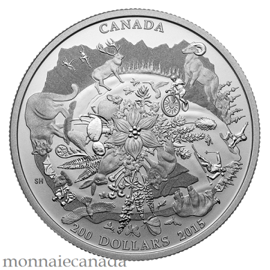 2015 - $200 for $200 - 2 oz. Fine silver coin - Canada's rugged mountains