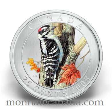 2008 Canada 25 cents  Downy Woodpecker Coloured Coin Bird