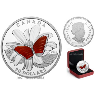2016 - $20 - Pièce de 1 oz en argent pur – Papillon aux ailes colorées