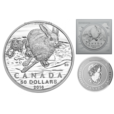 2016 - $50 for $50 Fine Silver Coin - Hare