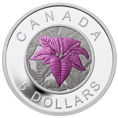 2014 - $5 - Pièce en argent fin avec niobium coloré - Fleurs populaires au Canada - Le poinsettia
