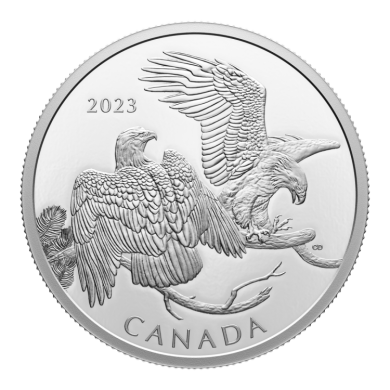 2023 -$30 - 2 oz. Pure Silver Coin  The Striking Bald Eagle