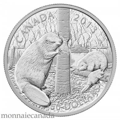 2013 - $50 - 5 oz. Fine Silver Coin - Swimming Beaver
