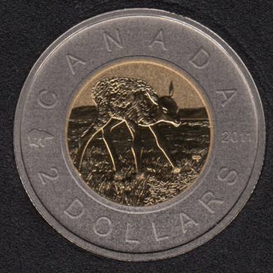 2011 - Specimen - Elk Calf - Canada 2 Dollars