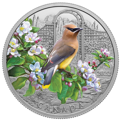 2022 - $20 - 1 oz. Pure Silver Coin – Colourful Birds: Cedar Waxwing