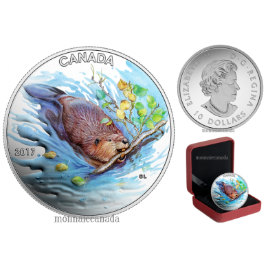 2017 - $10 - Pièce colorée de 1/2 oz en argent pur – Emblèmes du Canada : Le castor