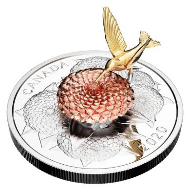 2020 $50 Dollars - 5 oz. Pure Silver Coin - The Hummingbird and the Bloom
