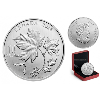 2016 - $10 - Canadian Maple Leaves 1/2 oz. Fine Silver Coin