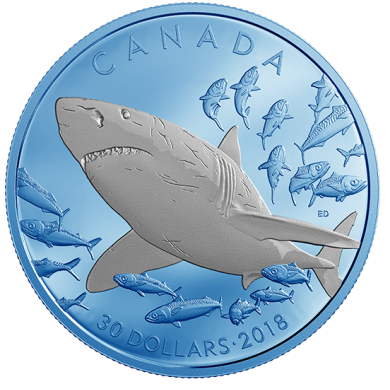 2018 - $30 - 2 oz. Pure Silver Coin with Selective Blue Rhodium Plating - Great White Shark