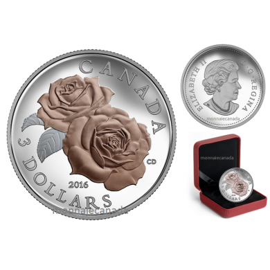 2016 - $3 - argent pur rehaussée d'un placage sélectif en or rose – Fleur du rosier Queen Elizabeth