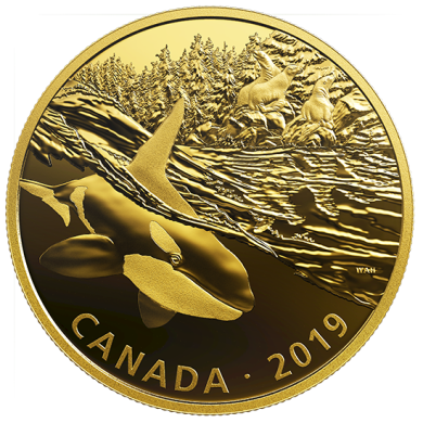 2019 - $30 - 2 oz. Pure Silver Gold-Plated Coin - Golden Reflections - Predator and Prey: Orca and Sea Lions