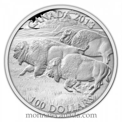 2013 - $100 Dollars Fine Silver Coin - Bison