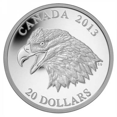 2013 - $20 - Pice de 1 oz en argent fin - Pygargue  tte blanche