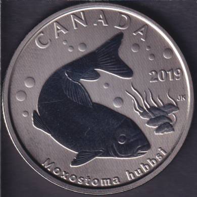2019 - Copper redhorse Fish - Specimen - Canada 50 Cents