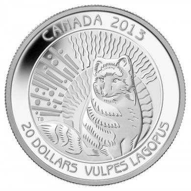 2013 - $20 - Pièce en argent fin - Le renard arctique
