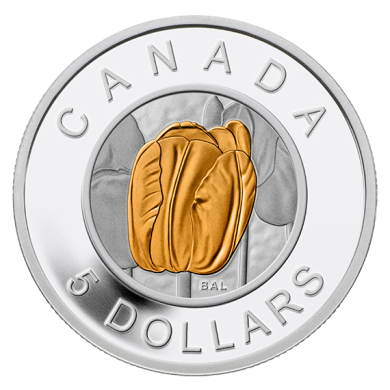 2014 - $5 - Pice en argent fin - disque en niobium color - Fleurs populaires au Canada - La tulipe