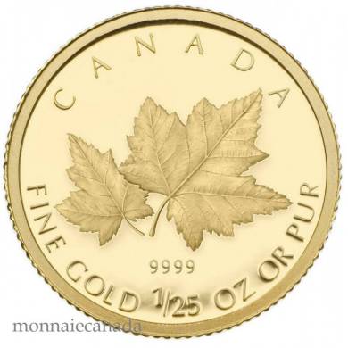 2009 - 50 Cents - Pièce en or de 1/25 d'once - Érable rouge