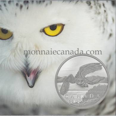 2014 - $50 for $50 Fine Silver Coin - Snowy Owl