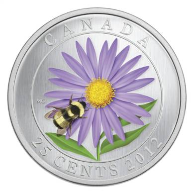 2012 Aster with Bumble Bee - 25 cents