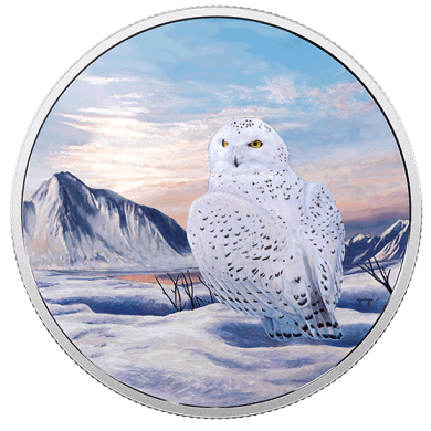 2018 - $30 - 2 oz. Pure Silver Glow-in-the-Dark Coin - Arctic Animals: Snowy Owl