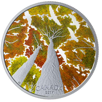 2019 - $30 - 2 oz. Pure Silver Coin - Canadian Canopy: The Canada Goose
