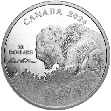 2024 - $30 - 2 oz. Fine Silver Coin  Weather Watch  Bison by Robert Bateman