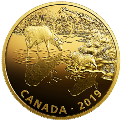 2019 - $30 - The 2019 Golden Reflections: Predator and Prey series revisits Canadian wildlife, so popular amo2 oz. Pure Silver Gold-Plated Coin - Golden Reflections - Predator and Prey: Wolves and Elk