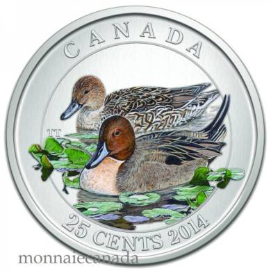 2014 - 25 Cents -Pintail Duck - Coloured Coin