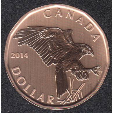 2014 - Specimen - Ferruginous Hawk - Canada Dollar