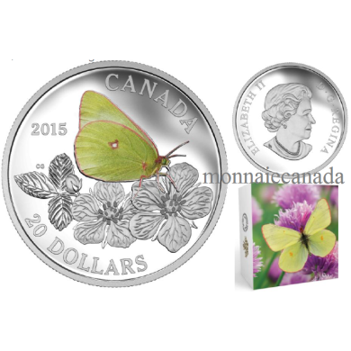 2015 - $20 - Pièce colorée de 1 oz en argent fin – Papillons du Canada : Colias gigantea