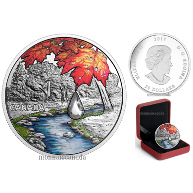 2017 - $20 - Pure Silver Coin with Swarovski Crystal - Jewel of the Rain: Sugar Maple Leaves