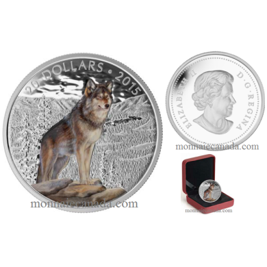 2015 - $20 - Pice colore de 1 oz en argent fin  Imposant loup dominant