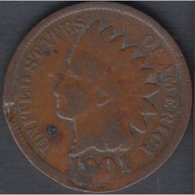 1901 - Damaged - Indian Head Small Cent