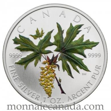 2005 - 5$ pièce colorée feuille d'érable en argent Le géant de la forêt l'érable grandifolié