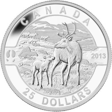 2013 - $25 - 1 oz Fine Silver Coin  - Caribou