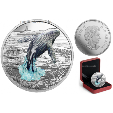 2017 - $20 -  1 oz en argent pur  Saut de baleine en trois dimensions