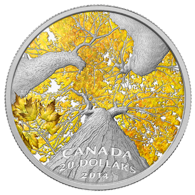2014 - $20 - Pièce de 1 oz en argent fin - À l'ombre d'un érable : un air d'automne