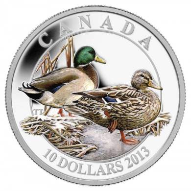2013 - $10 Pièce en argent fin - Le canard colvert