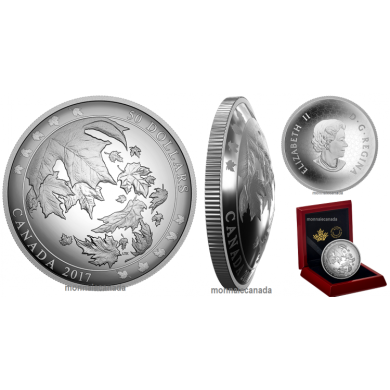 2017 - $50 - Pure Silver Convex Coin - Maple Leaves in Motion