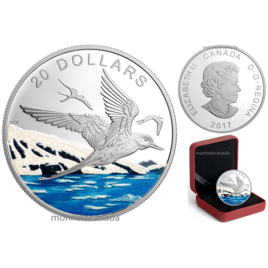 2017 - $20 - 1 oz. Pure Silver Coloured Coin – Glistening North: Arctic Tern