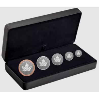 2023  - Pure Silver Fractional Set