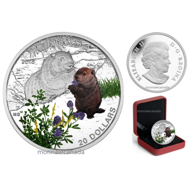 2016 - $20 - 1 oz. Fine Silver Coloured Coin – Baby Animals - Baby Woodchuck