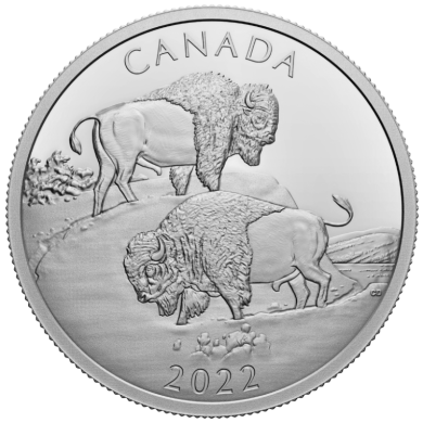 2022 - $30 - Dollars Fine Silver - The Mighty Bison