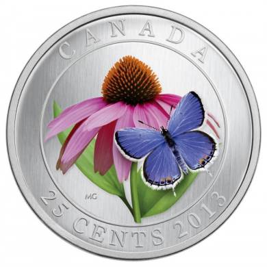 2013 - Purple Coneflower and Eastern Tailed Blue - Coloured Coin 25
