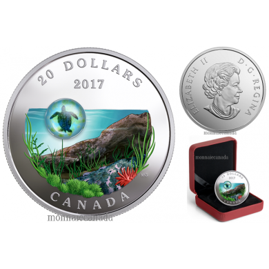 2017 - $20 - 1 oz. Pure Silver Coloured Coin - Under the Sea: Sea Turtle