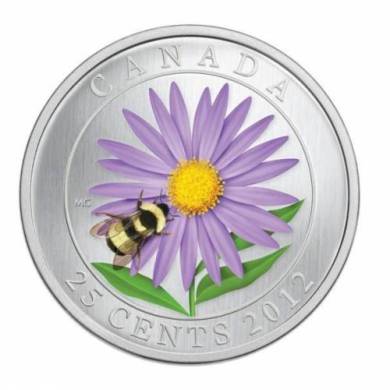 2012 Aster with Bumble Bee - 25-Cent Coloured Coin