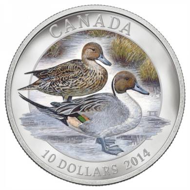 2014 - $10 -  1/2 oz. Fine Silver Coin - Pintail Duck