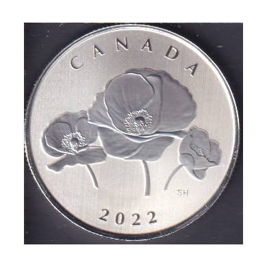 2022 - $5 - ¼ oz. Pure Silver Coin – Moments to Hold: Remembrance Day